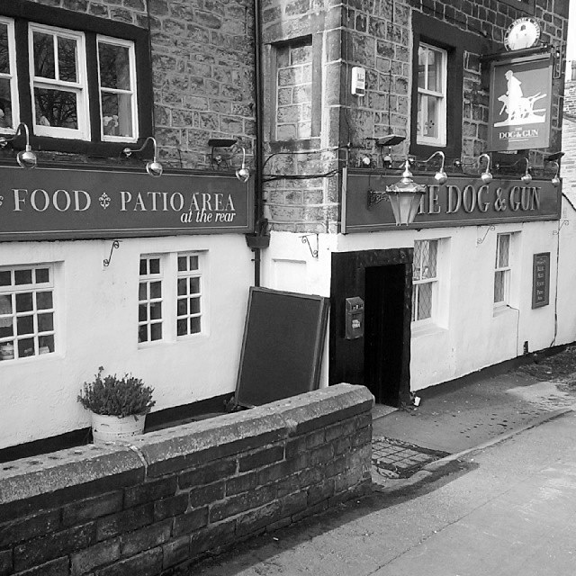 The Dog & Gun