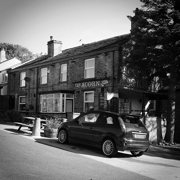 The Acorn